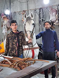مجموعه پرورش اسب بن شمشیر
