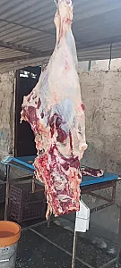 قصابی عموعلی