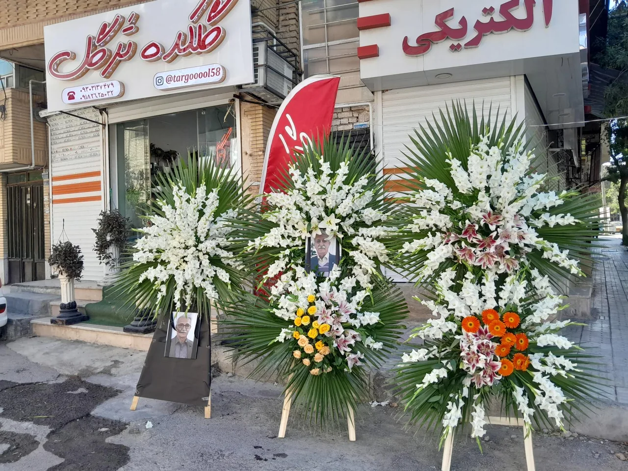 گلکده ترگل - تصویر 5