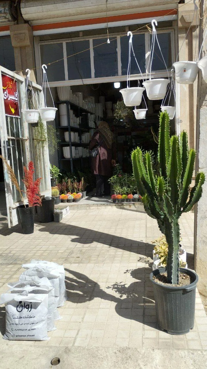 گلسرای ژوان - تصویر 2