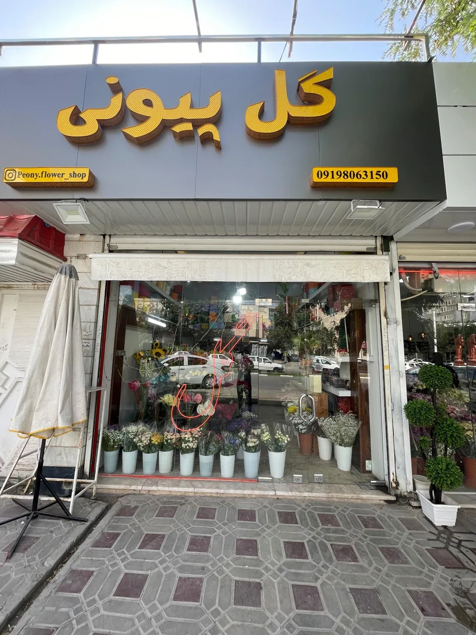 گل پیونی