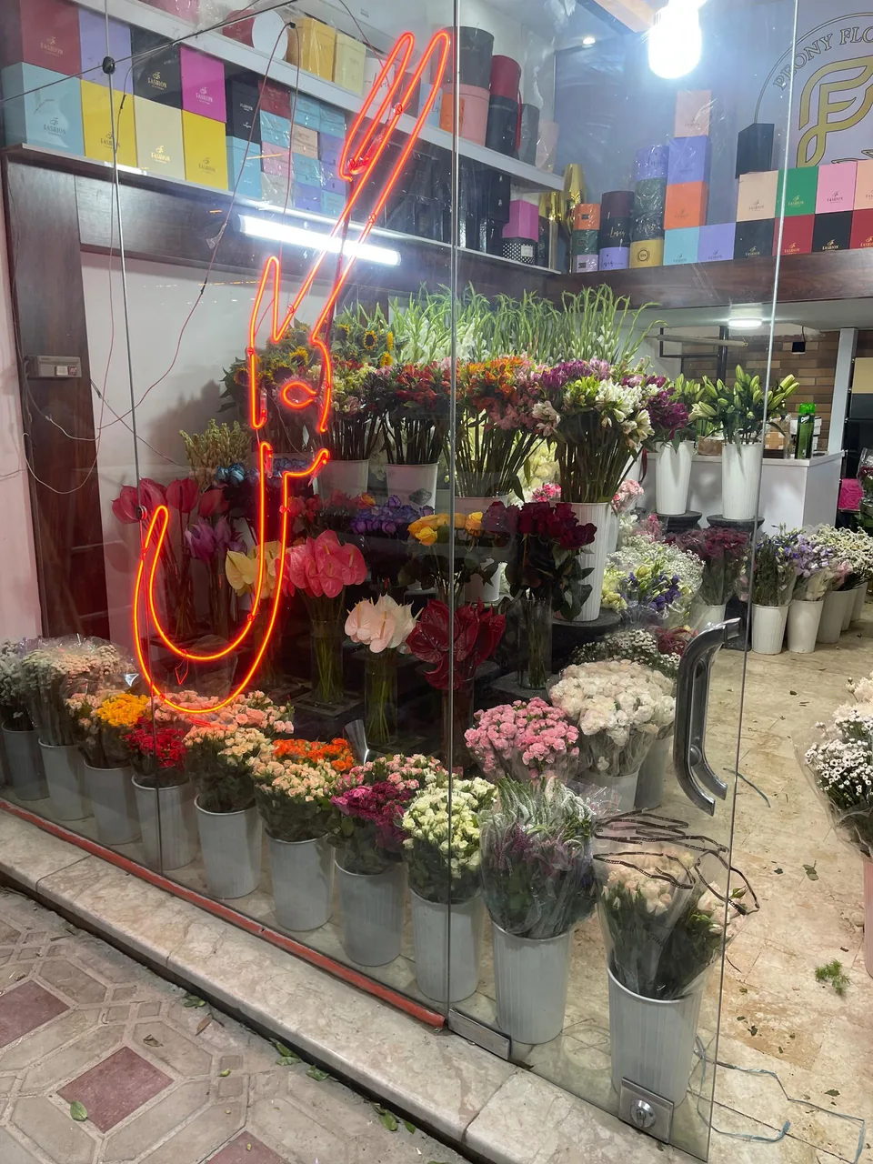 گل پیونی - تصویر 2