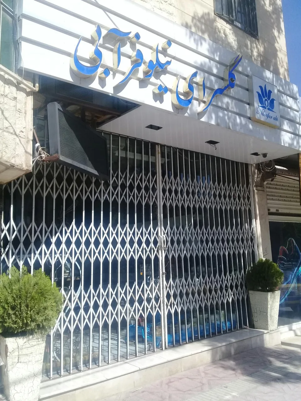 گلسرای نیلوفر آبی