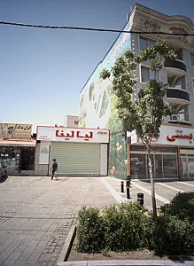فست فود لیالینا