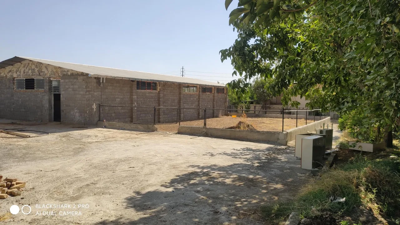 باشگاه سوارکاری سنجابی - تصویر 3