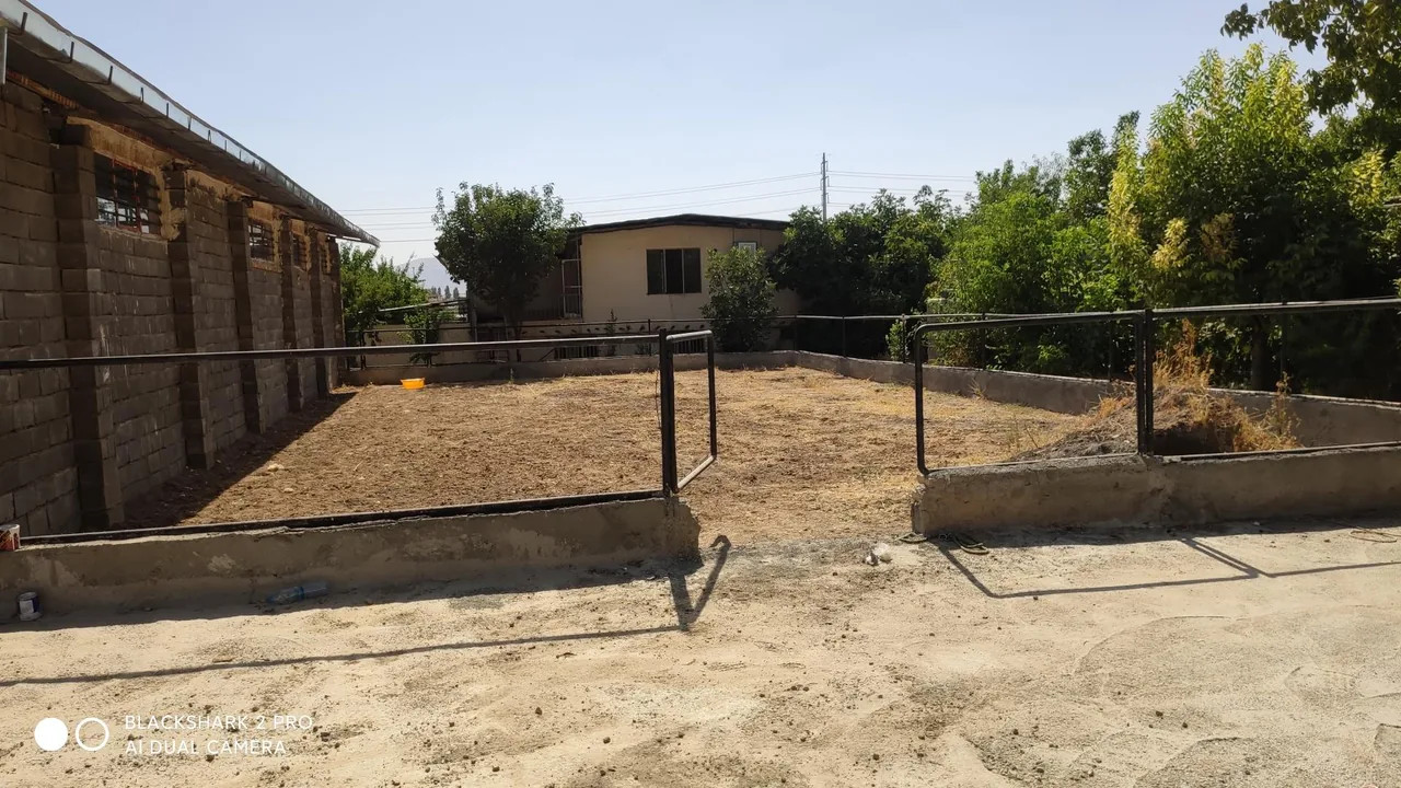 باشگاه سوارکاری سنجابی - تصویر 4