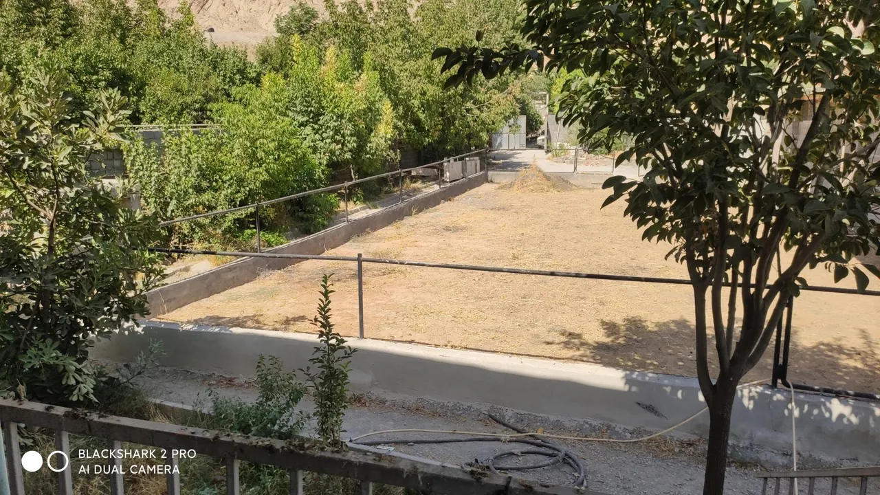 باشگاه سوارکاری سنجابی - تصویر 5