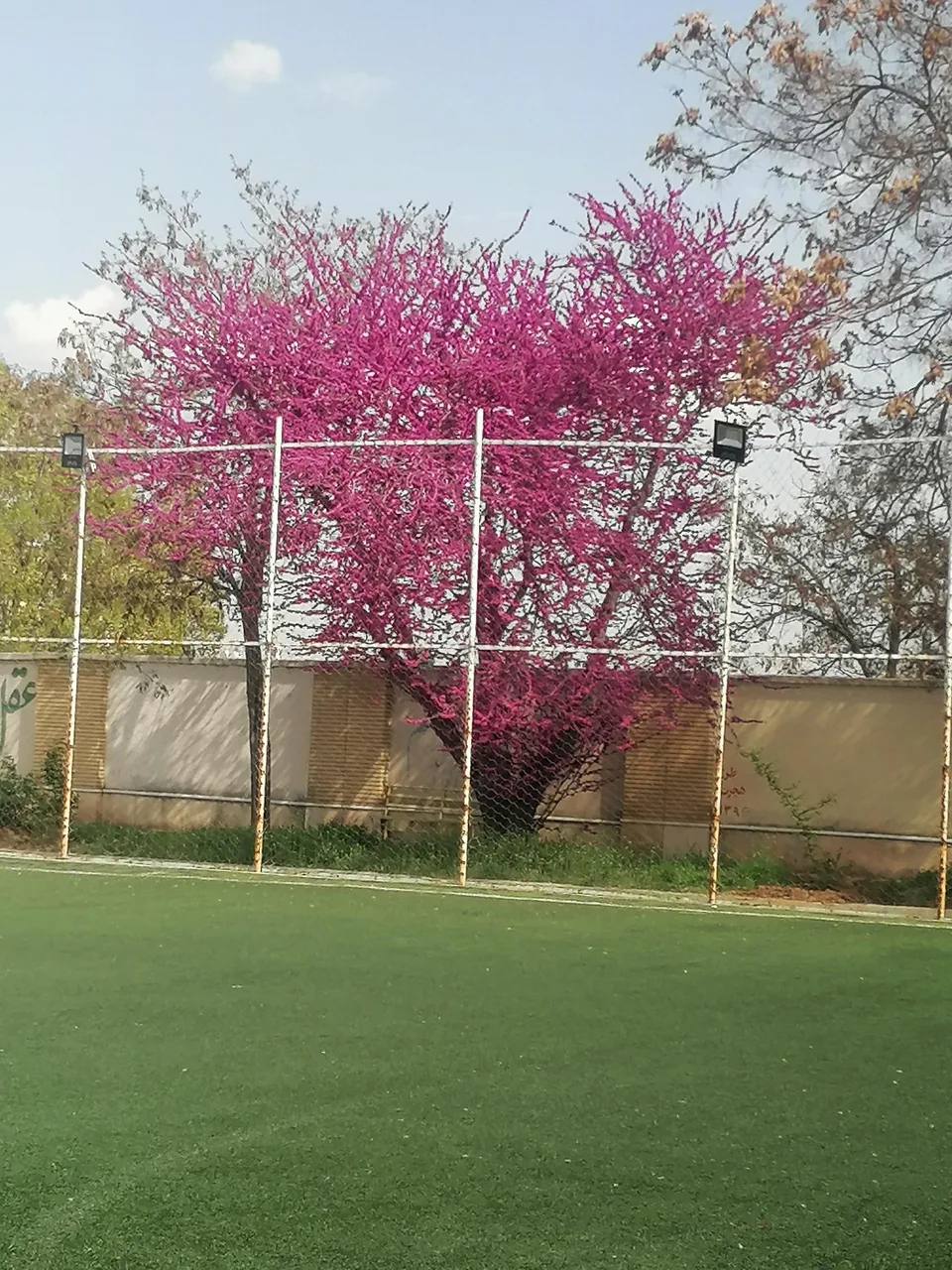 کانون فرهنگی تربیتی تقوا - تصویر 5