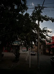کپلی برگر