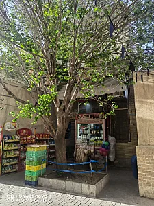 سوپر مارکت برکات
