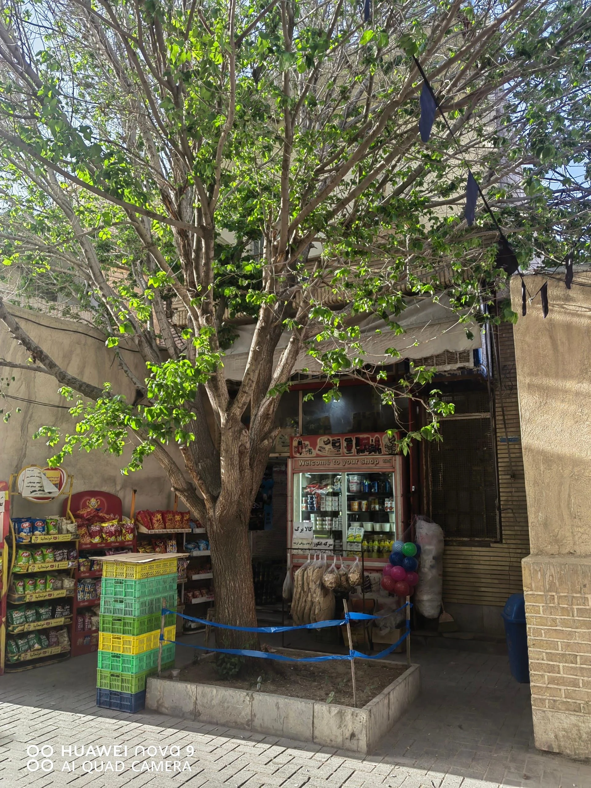سوپر مارکت برکات