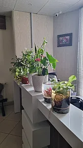 دکتر راحله سعیدی یوسفی