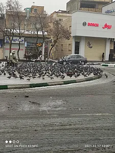 کبوترخانه