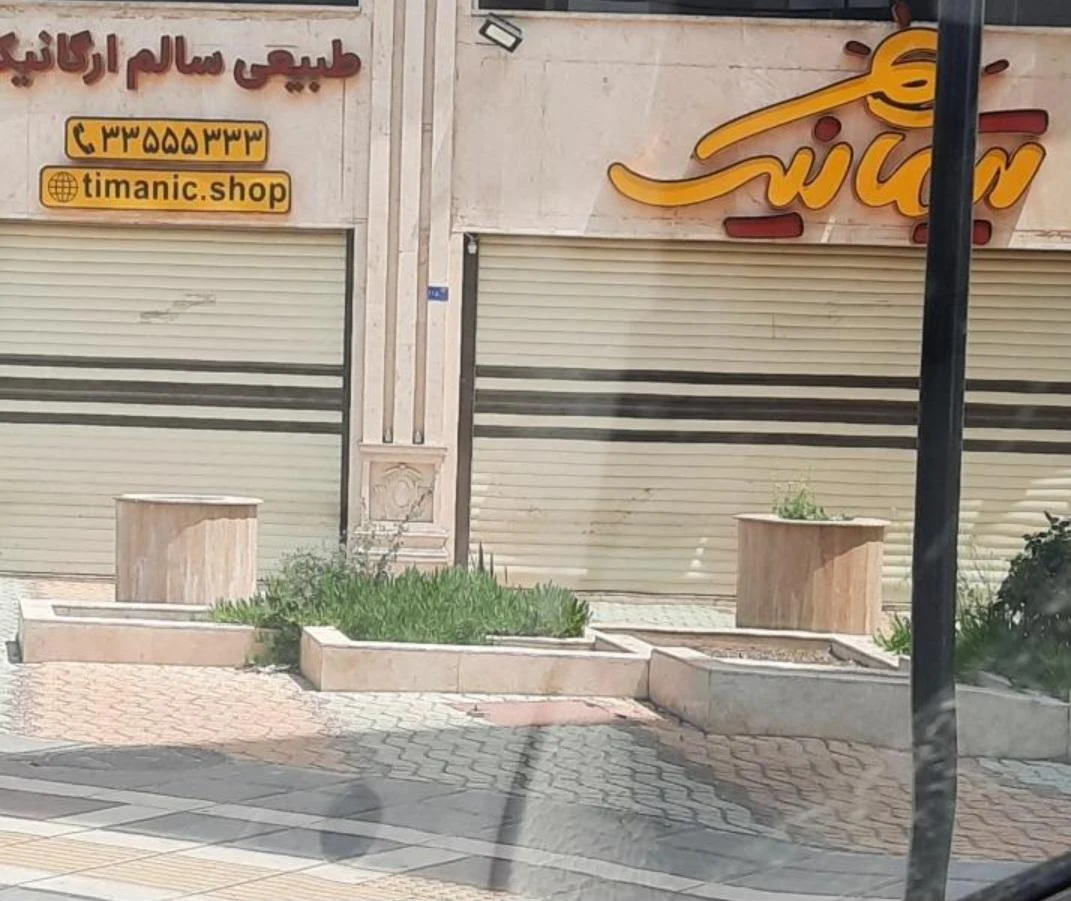 سبزیجات و محصولات طبیعی تربچه - تصویر 2