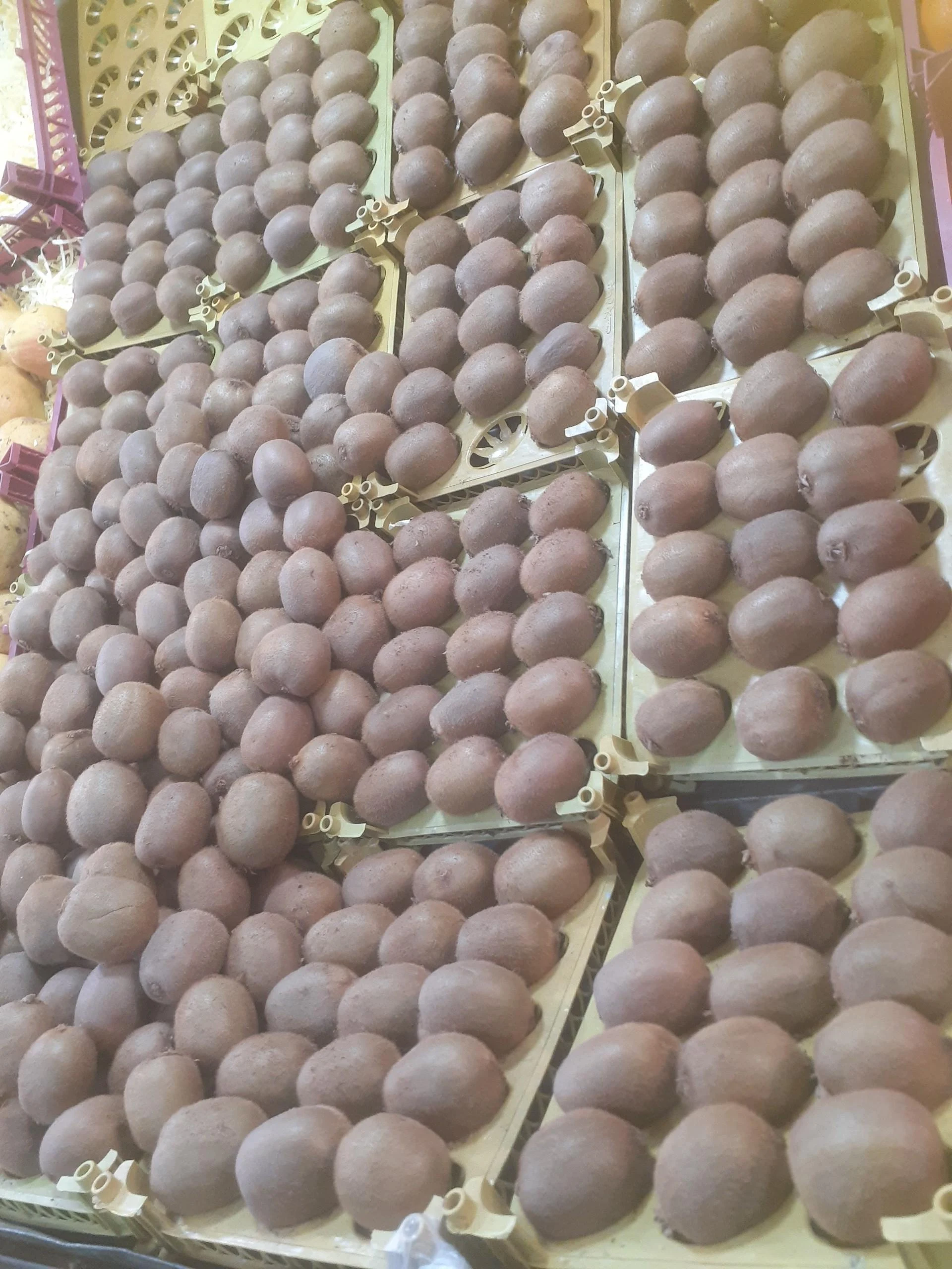 میوه فروشی حاج بابا - میوه و تره‌بار در مشهد