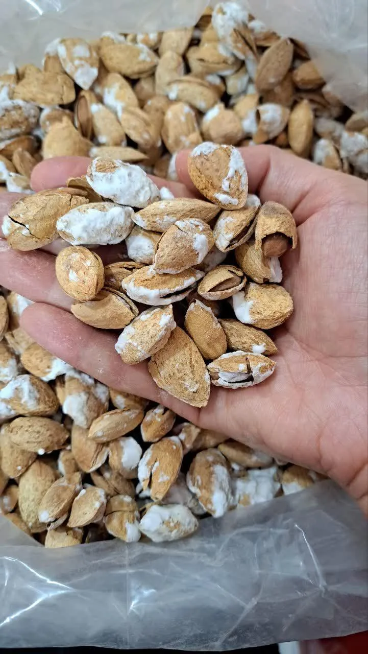 سوپر مارکت آبک - تصویر 6