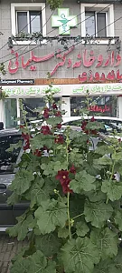 داروخانه دکتر سلیمانی