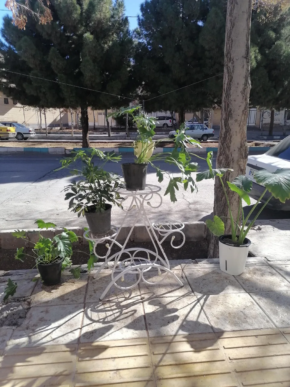 هیدروگل سعادت - تصویر 2
