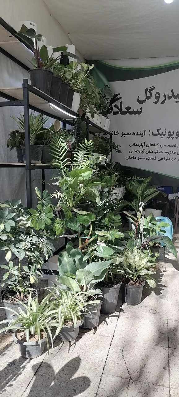 هیدروگل سعادت - تصویر 3