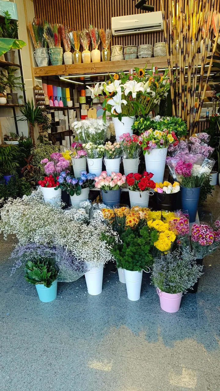 گل فلورا