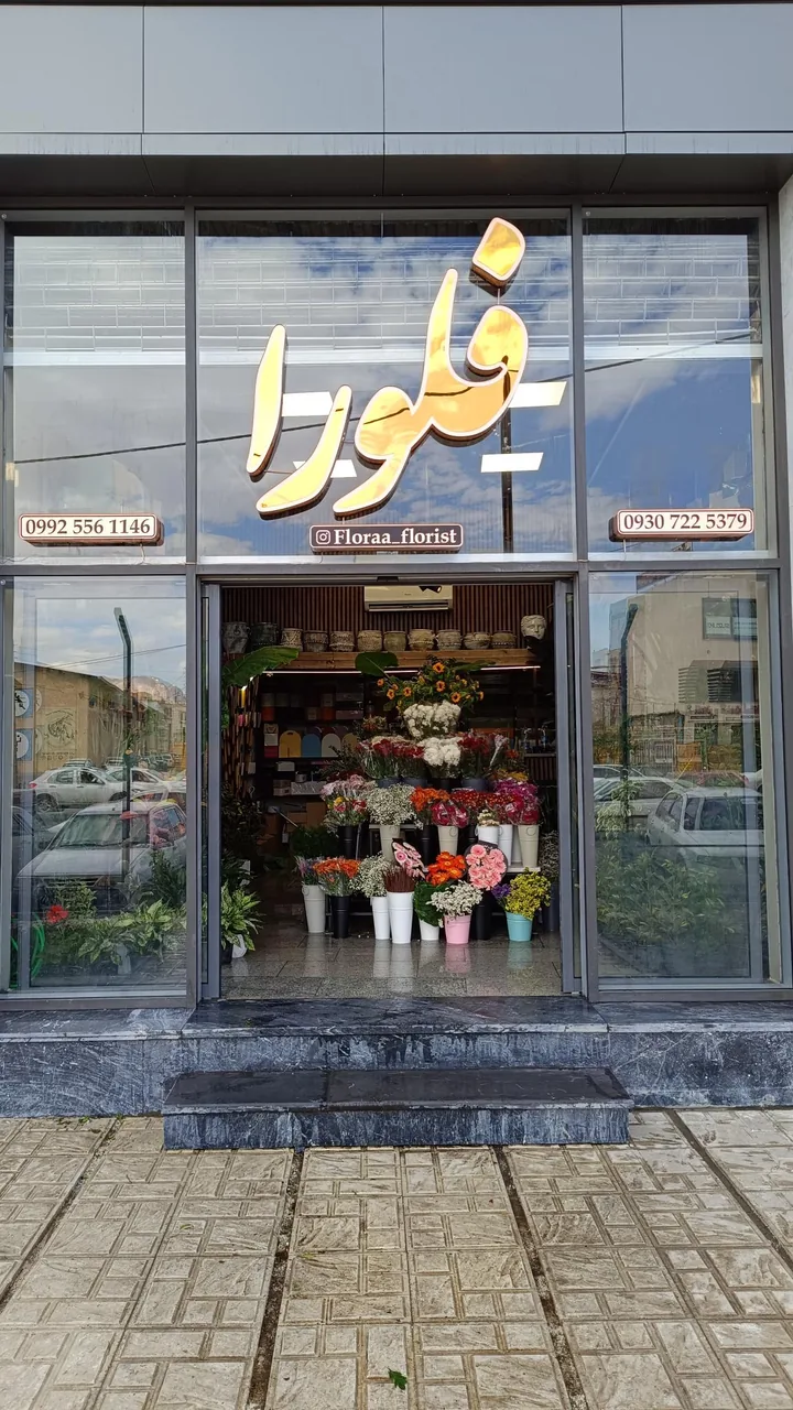 گل فلورا - تصویر 2