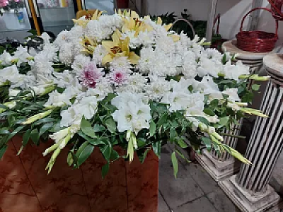 گلسرای سفیر سبز