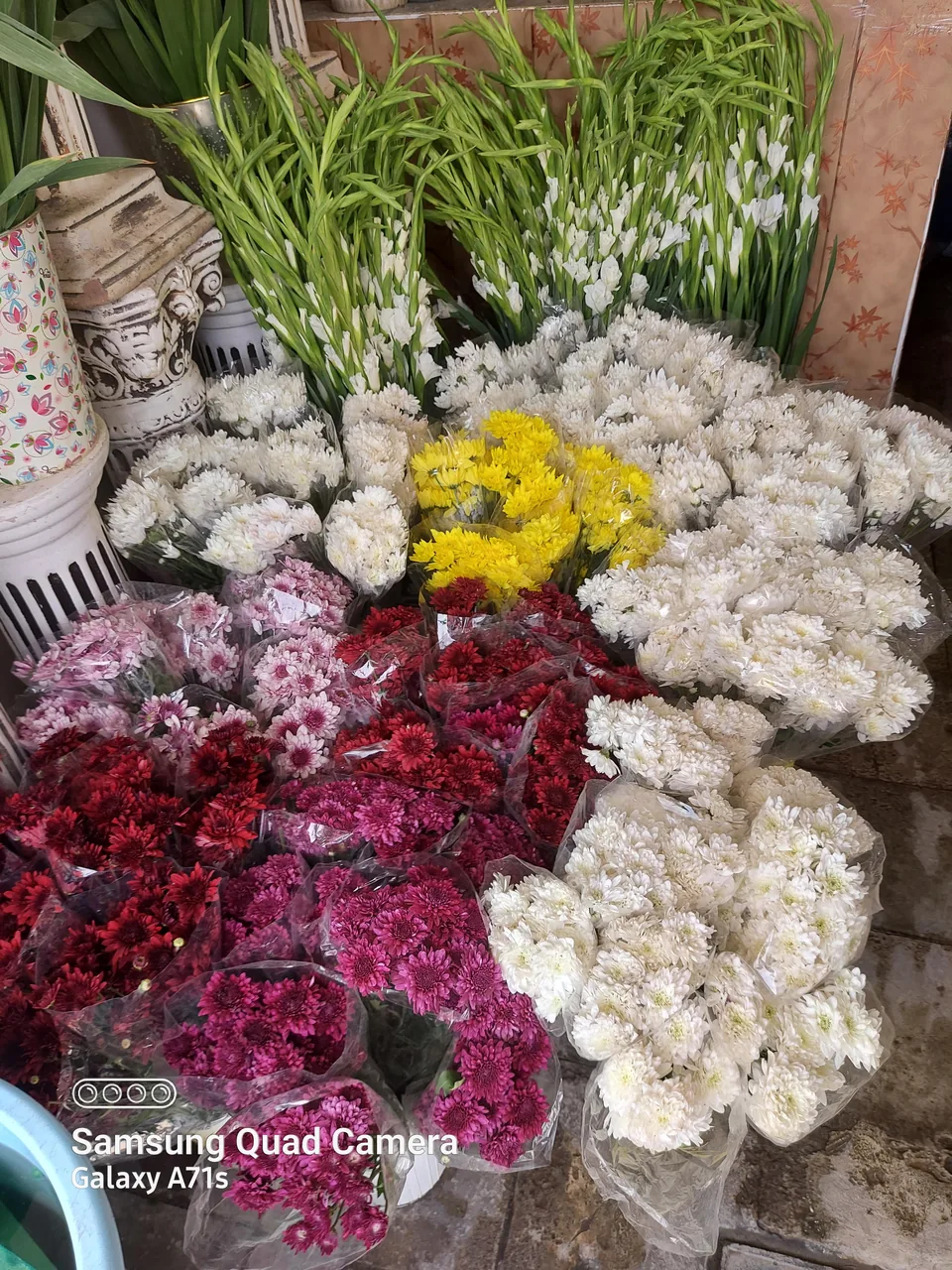 گلسرای سفیر سبز - گل‌فروشی در کرمان - تصویر 3