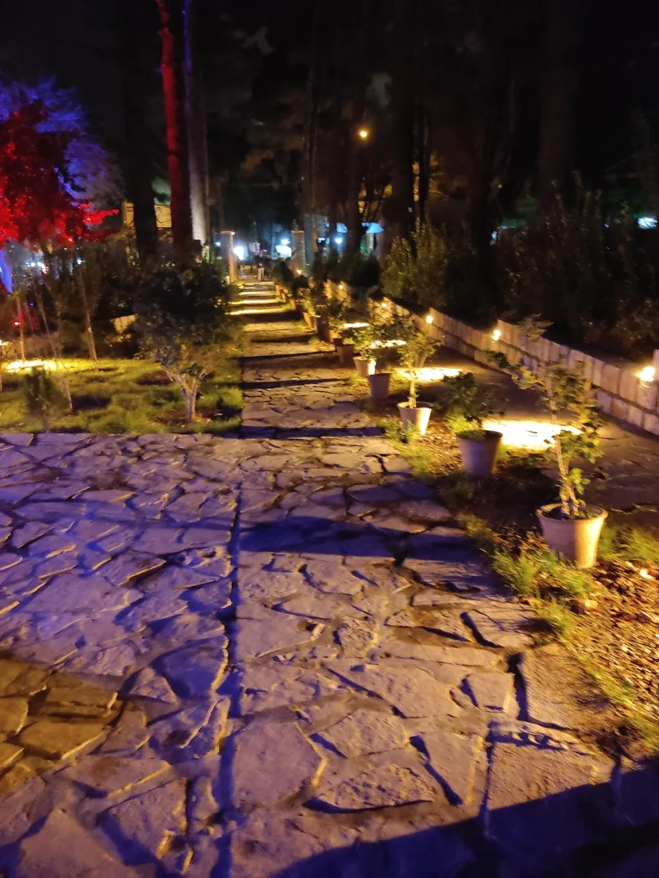 رستوران دایه - تصویر 2