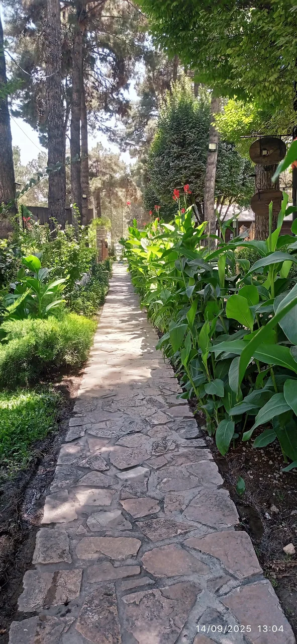 رستوران دایه - تصویر 3