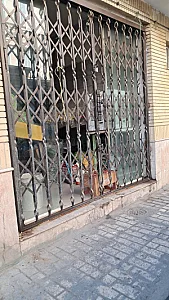 میوه فروشی صادقی