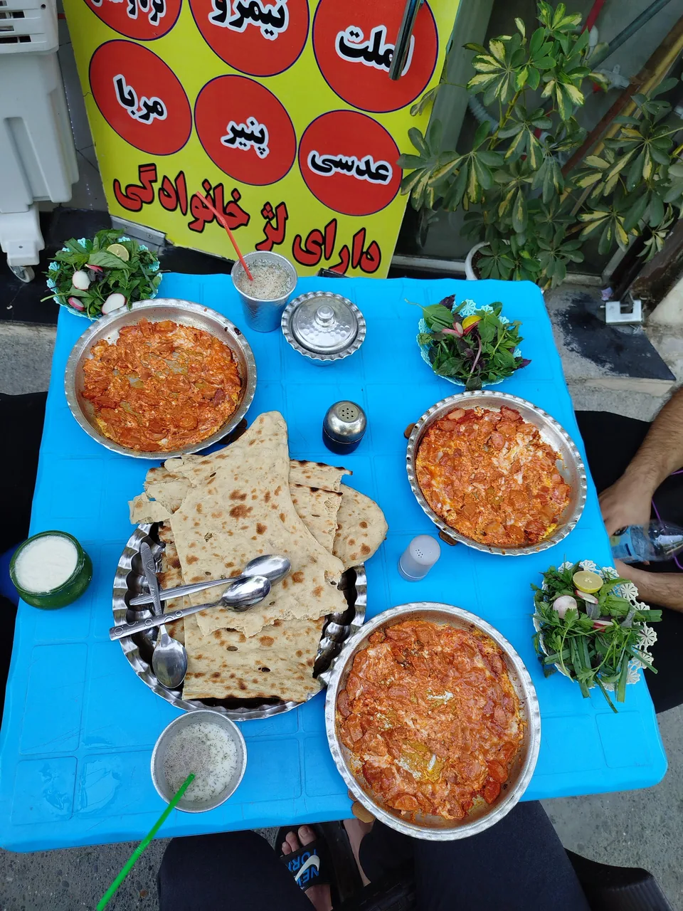 دیزی سرای پوریا - تصویر 5