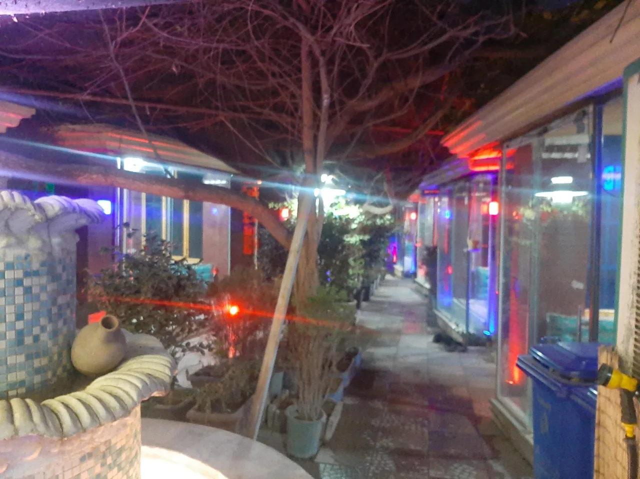 رستوران سنتی باغ پرآو - تصویر 4