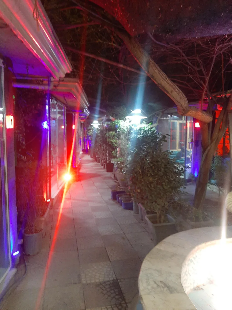 رستوران سنتی باغ پرآو - تصویر 5