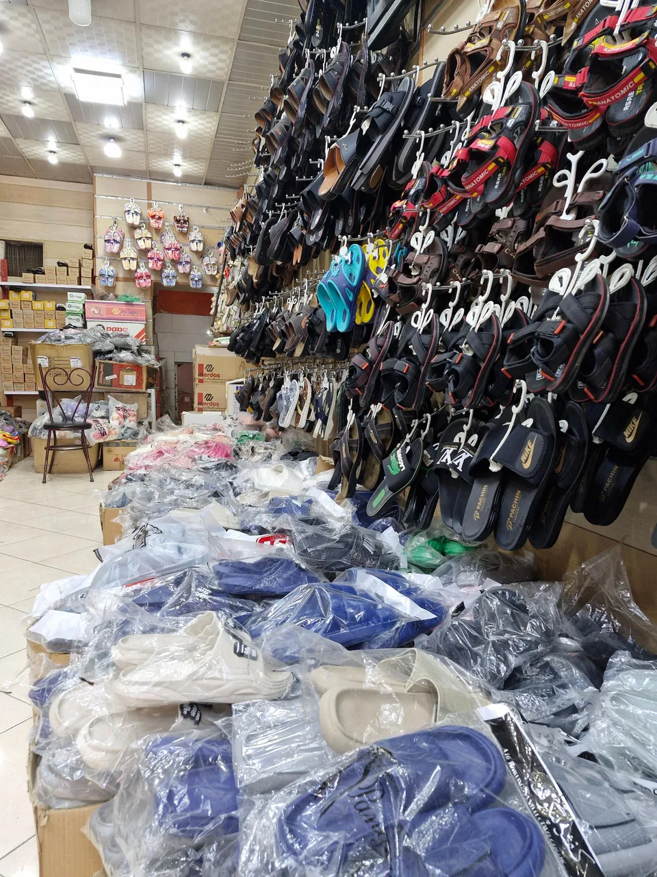 پخش دمپایی حسنی - تصویر 3