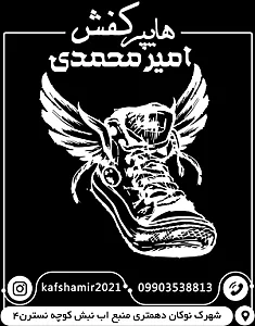 هایپر کفش امیر محمدی