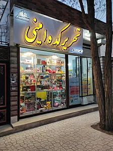 نوشت افزار تحریرکده امینی