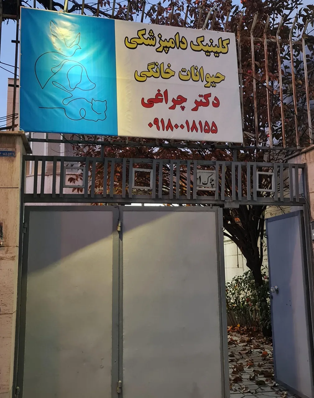 کلینیک دامپزشکی دکتر چراغی