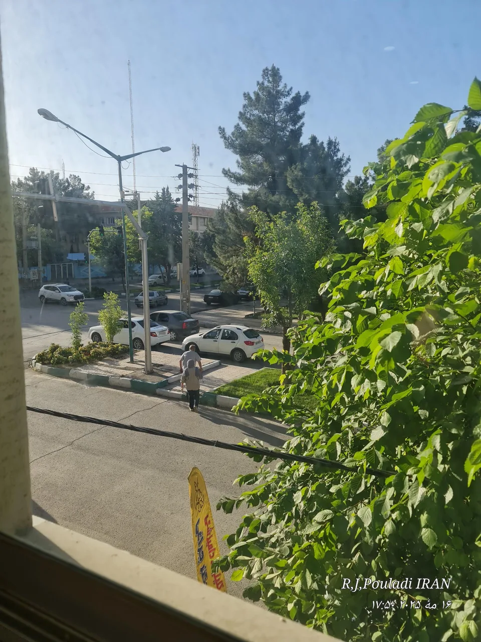 کلینیک دامپزشکی دکتر چراغی - تصویر 3