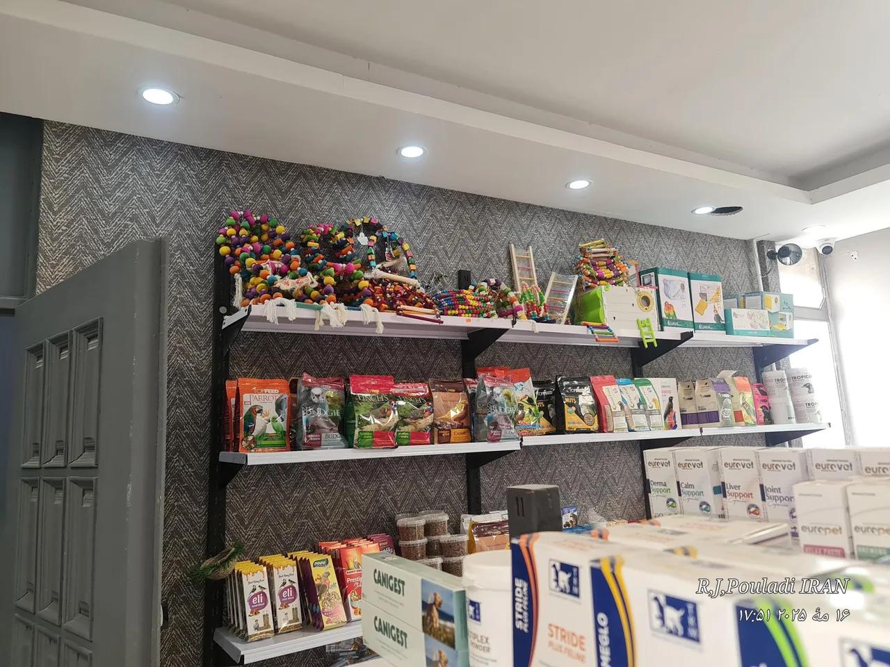 کلینیک دامپزشکی دکتر چراغی - تصویر 5