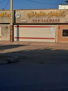 کارواش دلفین طلایی