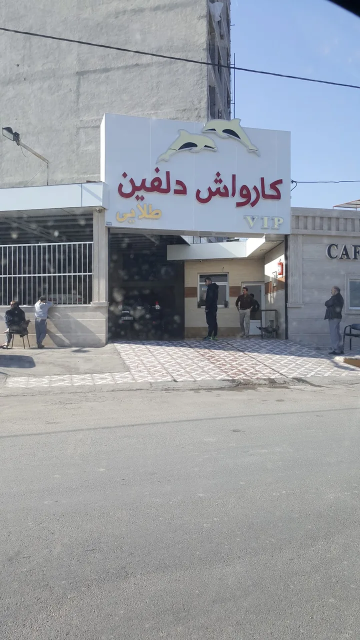 کارواش دلفین طلایی - تصویر 2