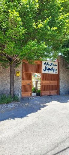 گل و گیاه پامچال