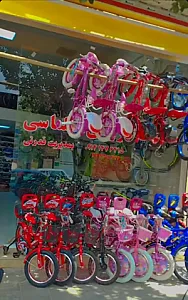 دوچرخه فروشی سلماسی