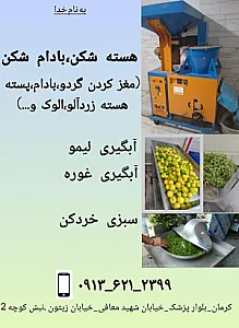 هسته شکن و سبزی خردکن