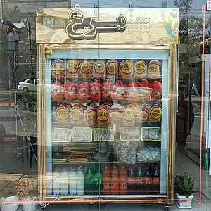 مرغ پاطلا