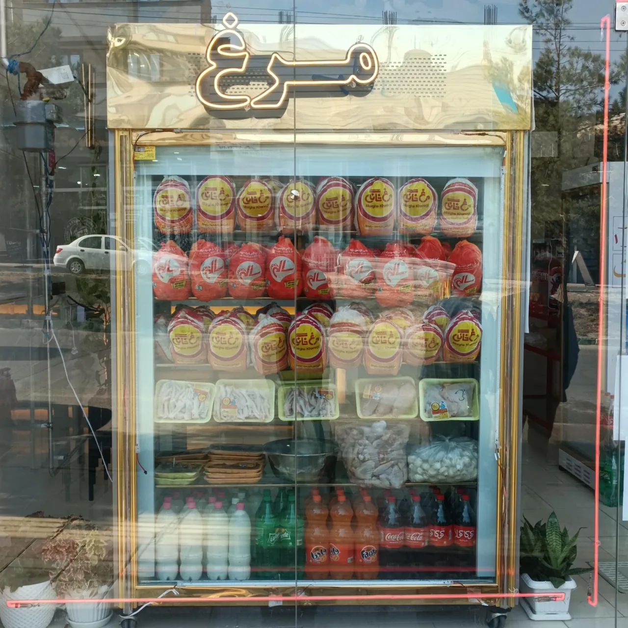 مرغ پاطلا