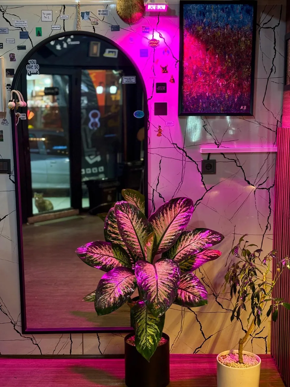 کافه میم - تصویر 2
