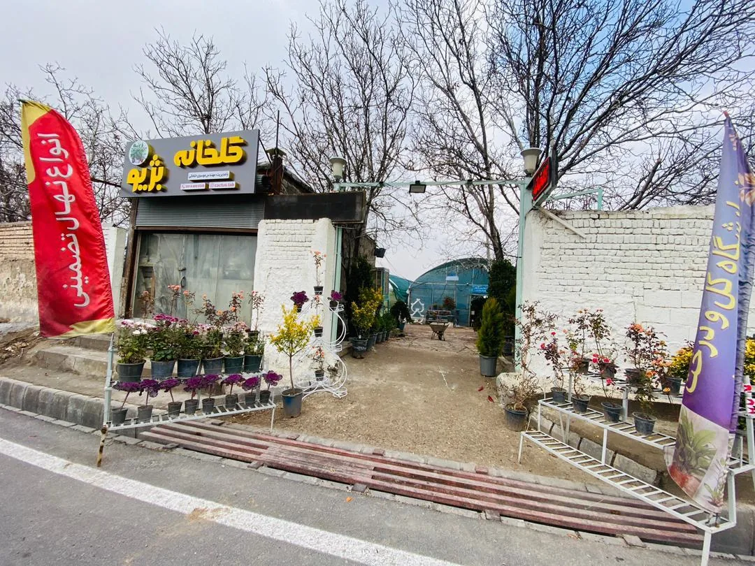 گلخانه بژیو