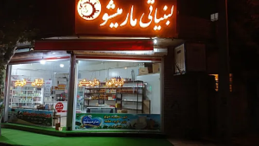 لبنیاتی مارمیشو