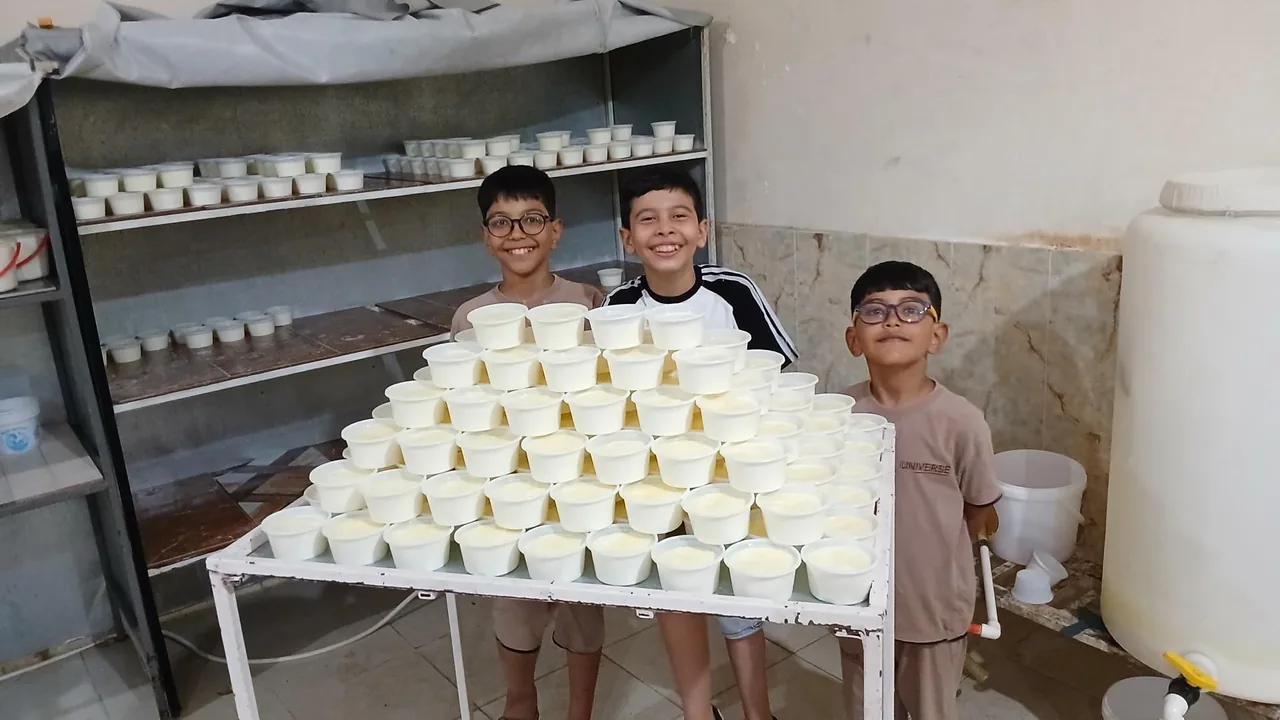 لبنیاتی مارمیشو - تصویر 4